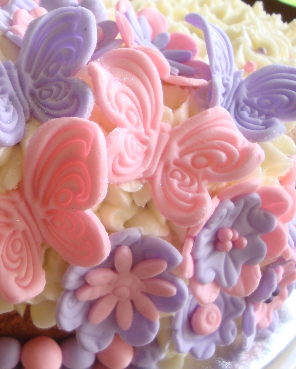 Butterfly Cake
