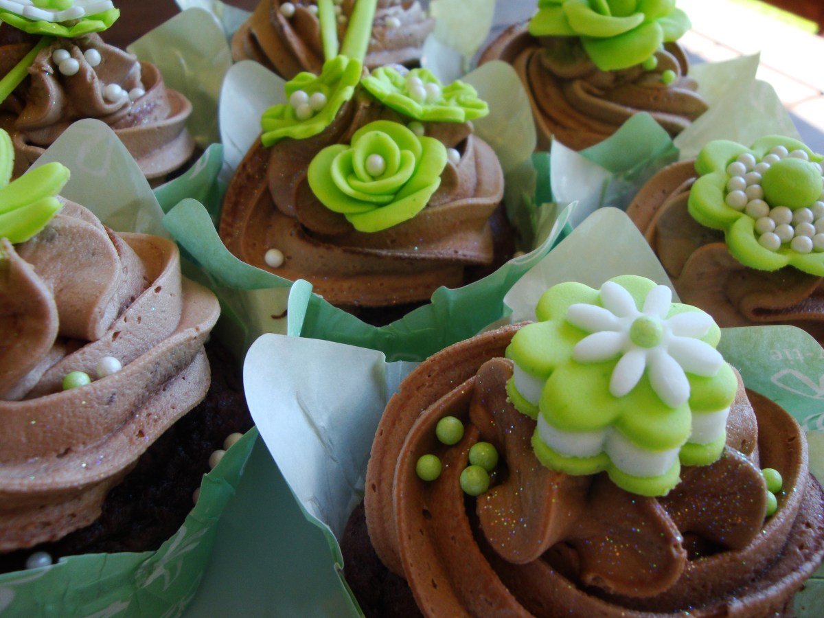 Lime Green & Chocolate Cupcakes