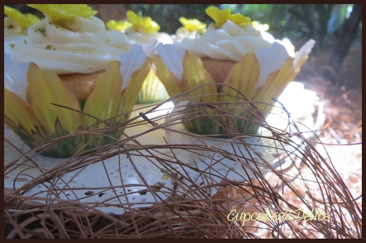 Honey & Pistachio Cupcakes