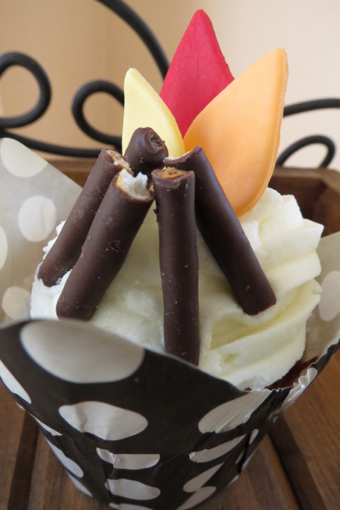 Camping Themed Cupcakes