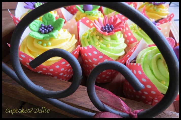 Kate Hurley's Cupcakes2