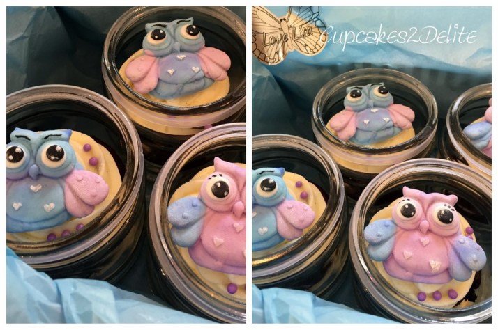 Owl Cupcakes in Pastel Lavender & Blue