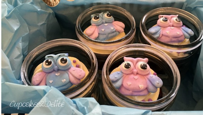 Owl Cupcakes in Pastel Lavender & Blue