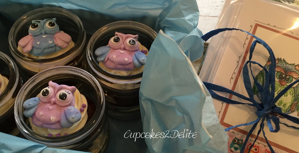 Owl Cupcakes in Pastel Pink & Blue