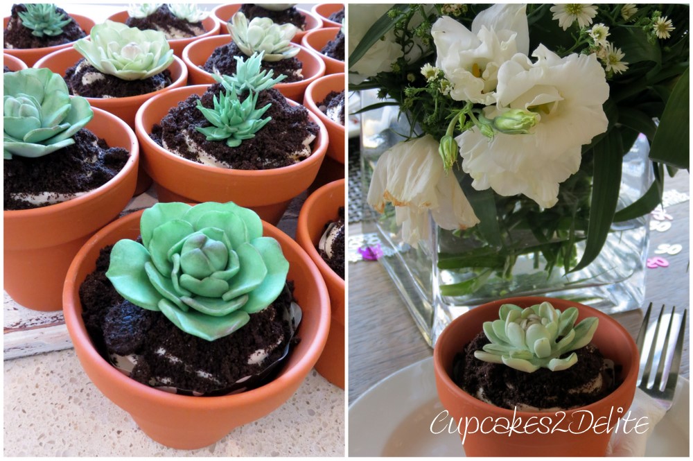 Succulent Cupcakes