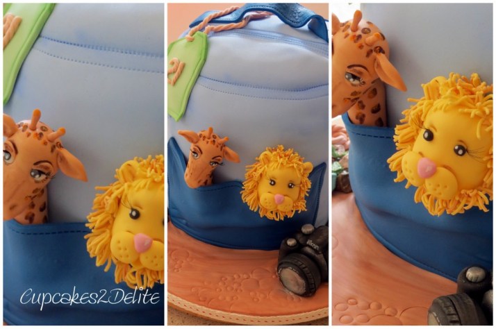 Backpack 21st Birthday Cake