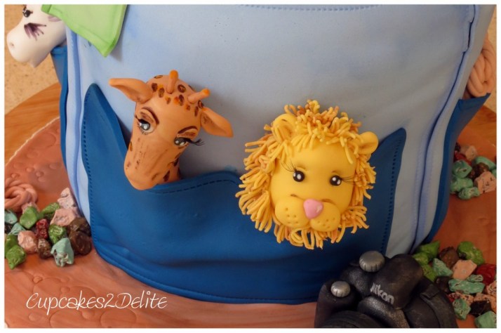 Backpack 21st Birthday Cake