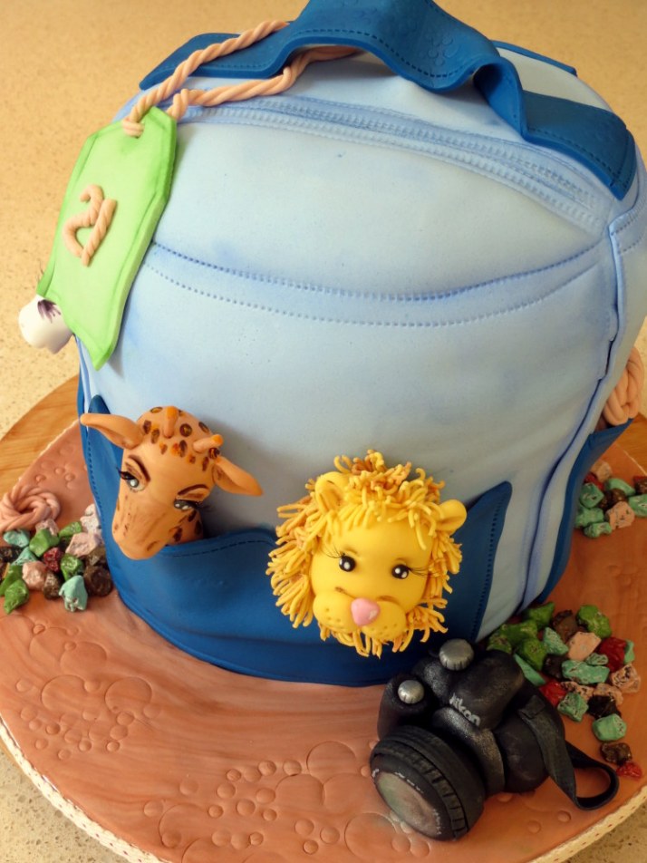 Backpack 21st Birthday Cake