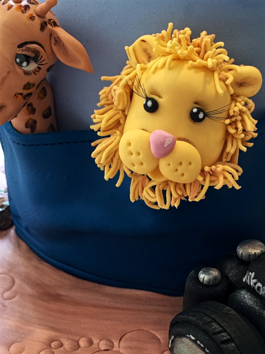 Backpack 21st Birthday Cake