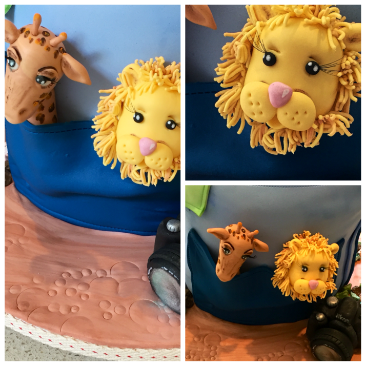 Backpack 21st Birthday Cake