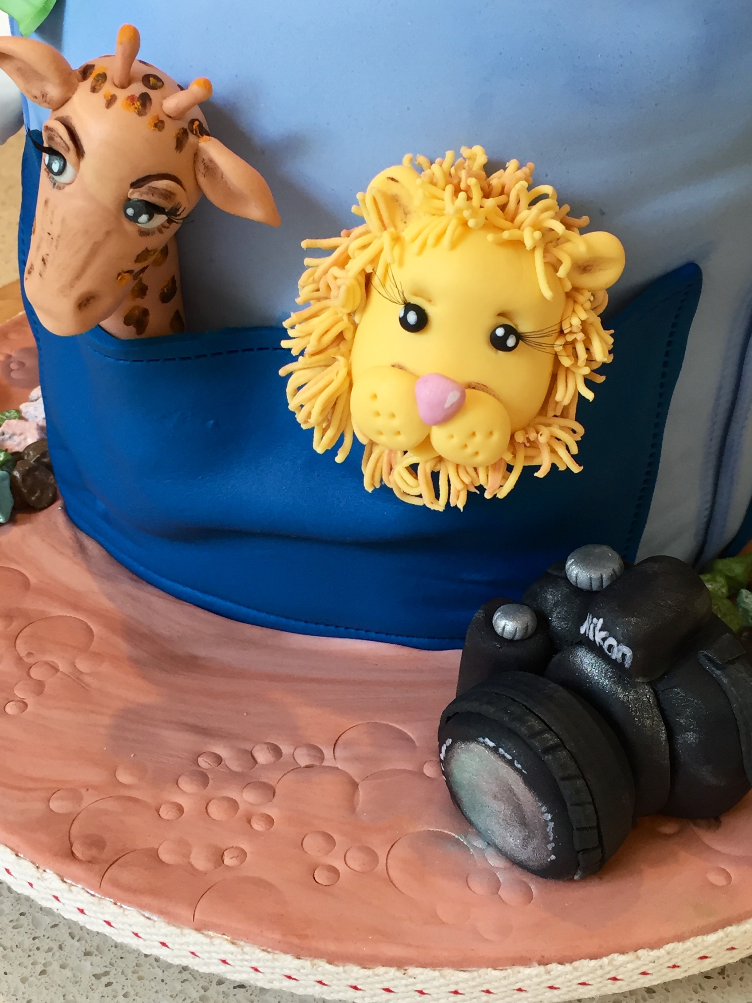 Backpack 21st Birthday Cake