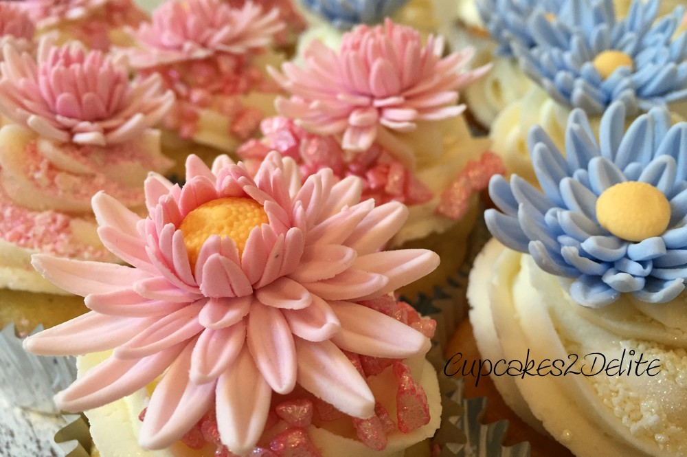 Pink & Blue Daisy Cupcakes