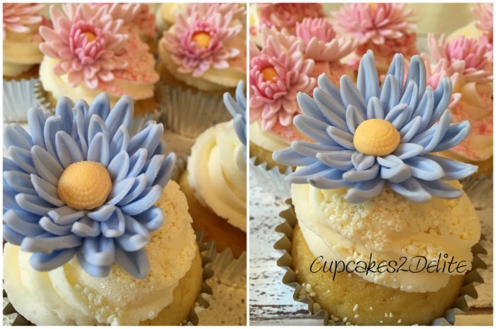 Pink & Blue Daisy Cupcakes