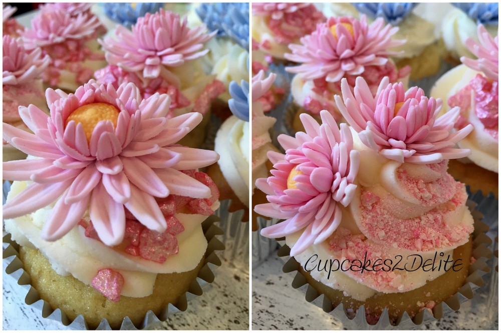 Pink & Blue Daisy Cupcakes