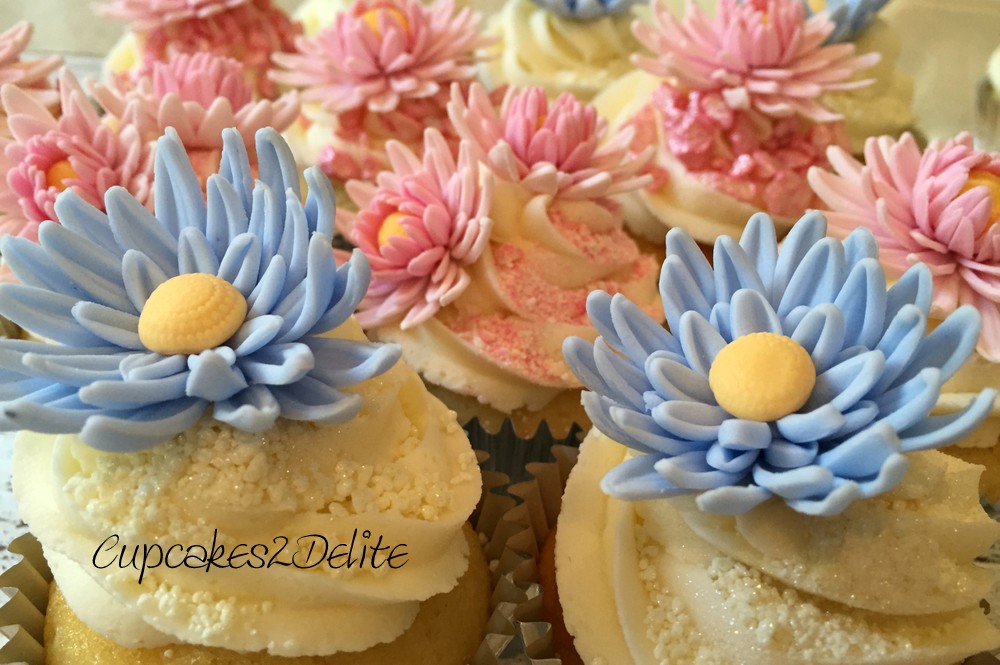 Pink & Blue Daisy Cupcakes