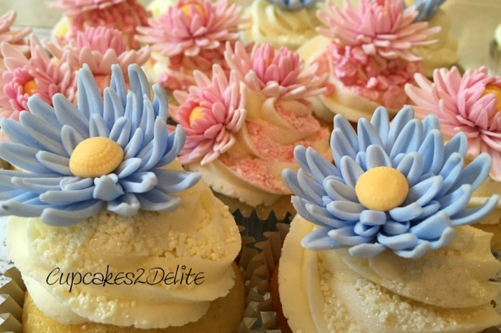 Pink & Blue Daisy Cupcakes