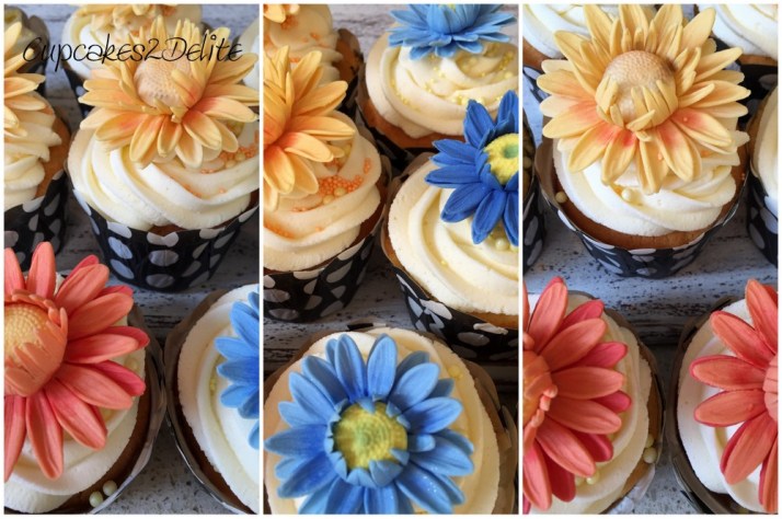 daisy-cupcakes