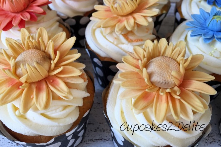Daisy Cupcakes