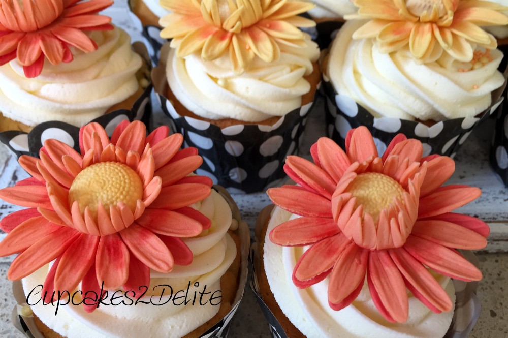 Daisy Cupcakes