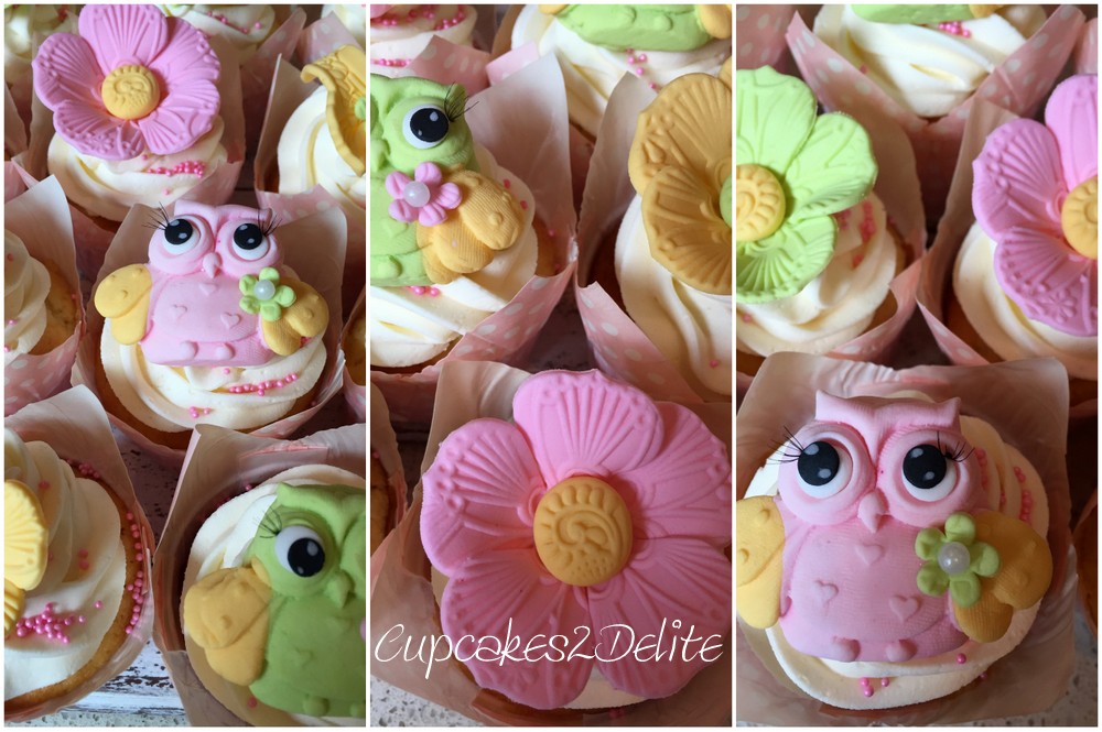 Owl, Flower & Butterfly Cupcakes