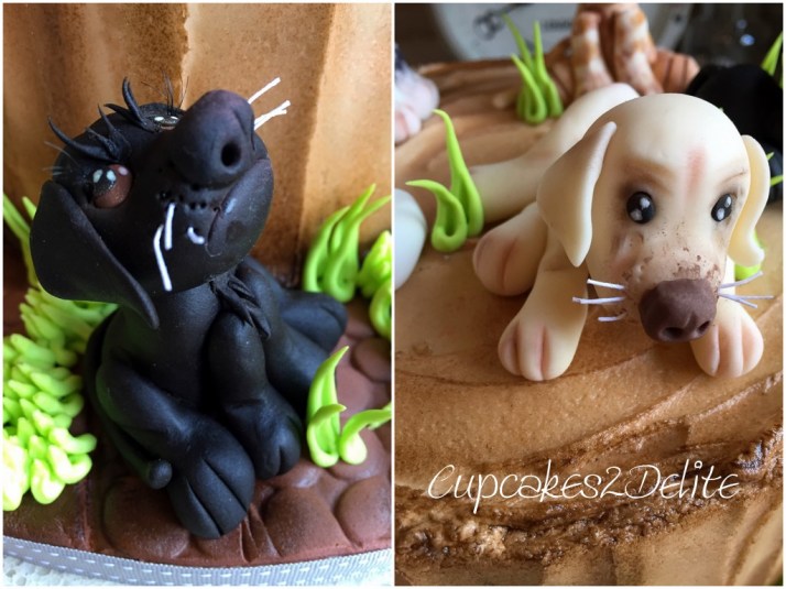 Pets Birthday Cake