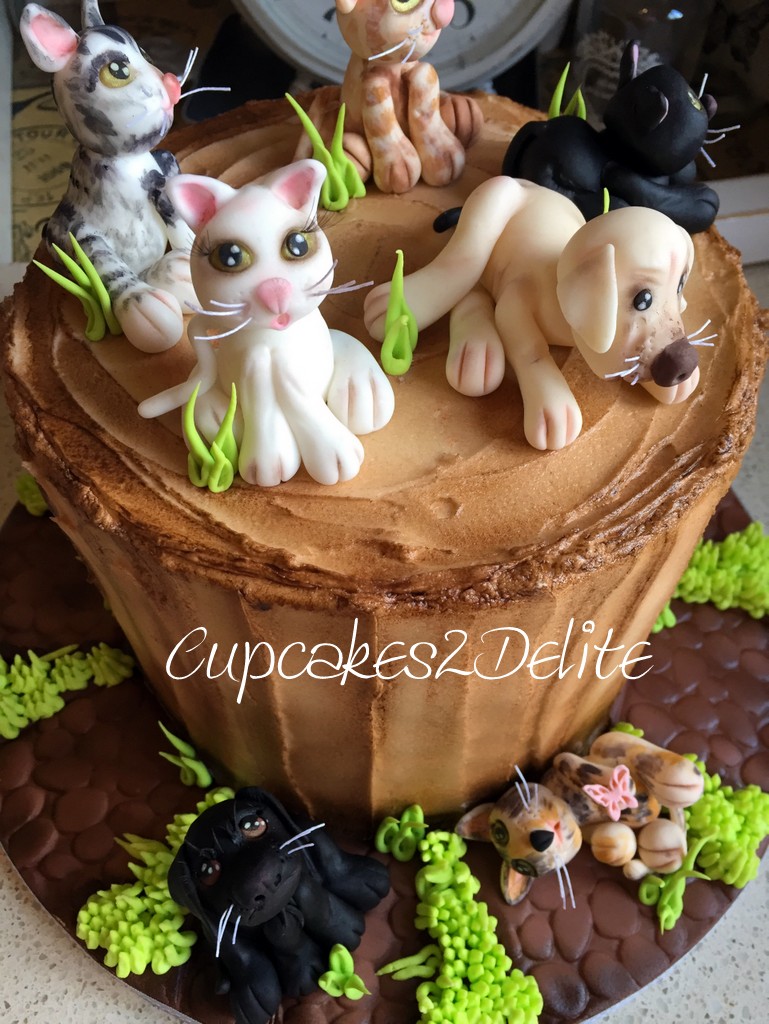Pets Birthday Cake