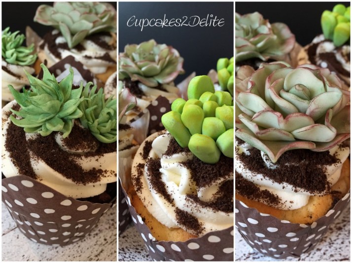 Succulent Cupcakes